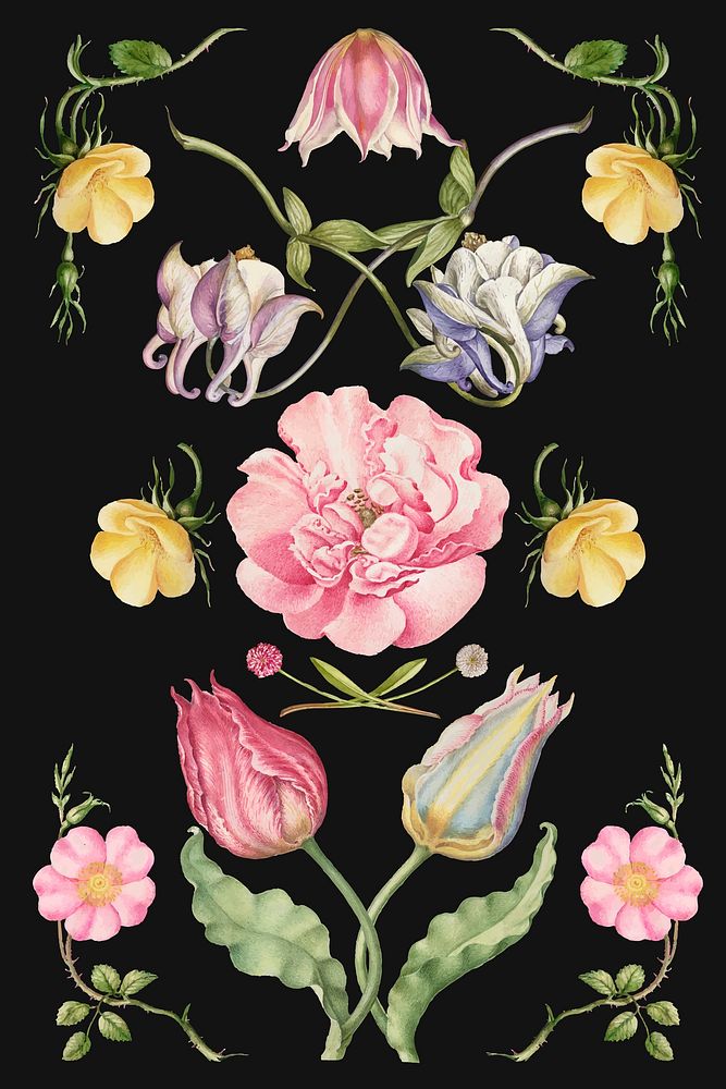 Vintage blooming flower illustration vector set, remix from The Model Book of Calligraphy Joris Hoefnagel and Georg Bocskay
