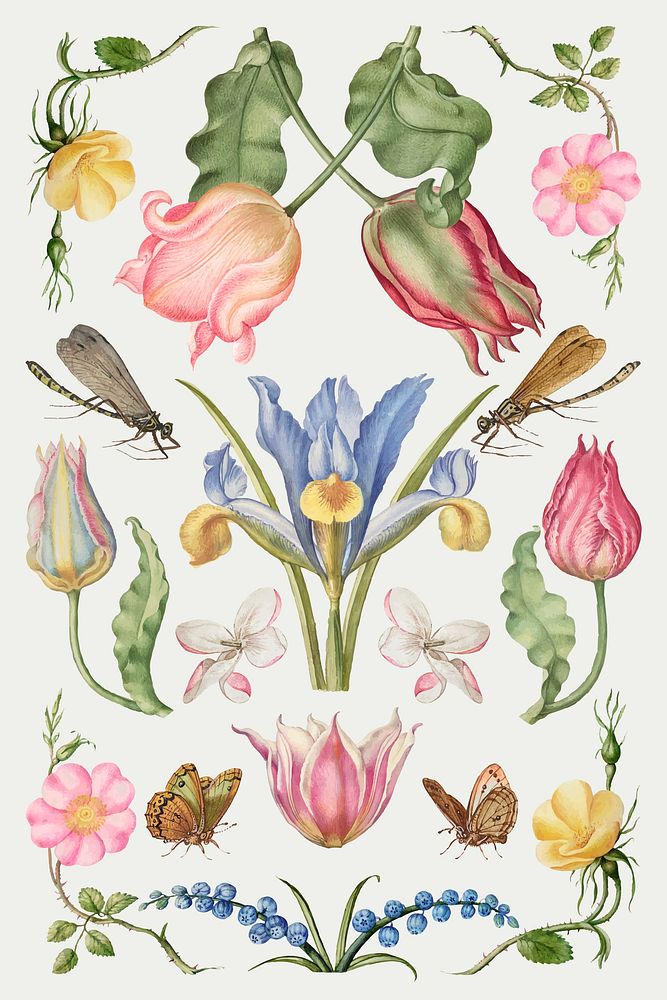 Hand drawn flowers vector floral illustration set, remix from The Model Book of Calligraphy Joris Hoefnagel and Georg Bocskay
