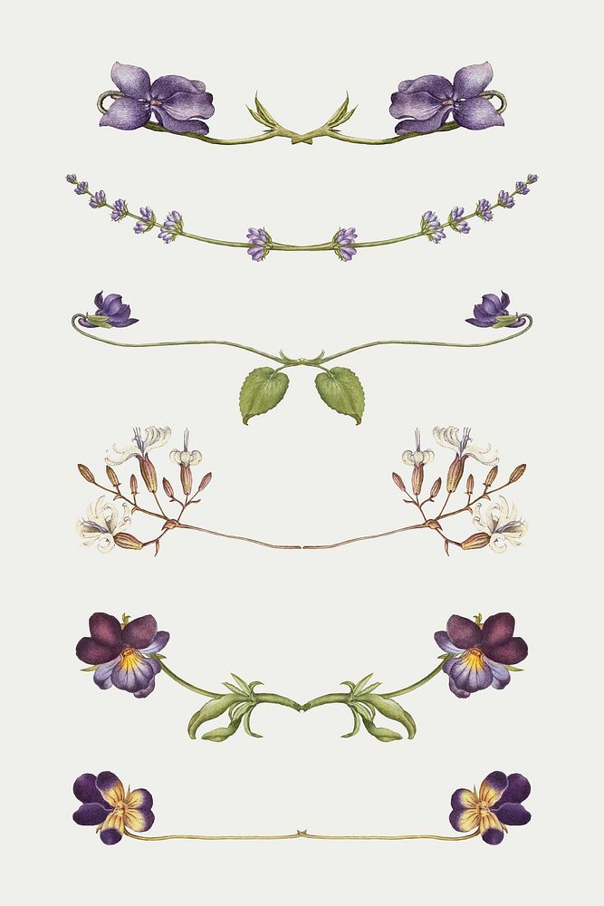 Flower floral flourish design vector set, remix from The Model Book of Calligraphy Joris Hoefnagel and Georg Bocskay