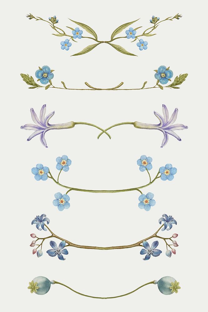 Flower floral flourish design vector set, remix from The Model Book of Calligraphy Joris Hoefnagel and Georg Bocskay