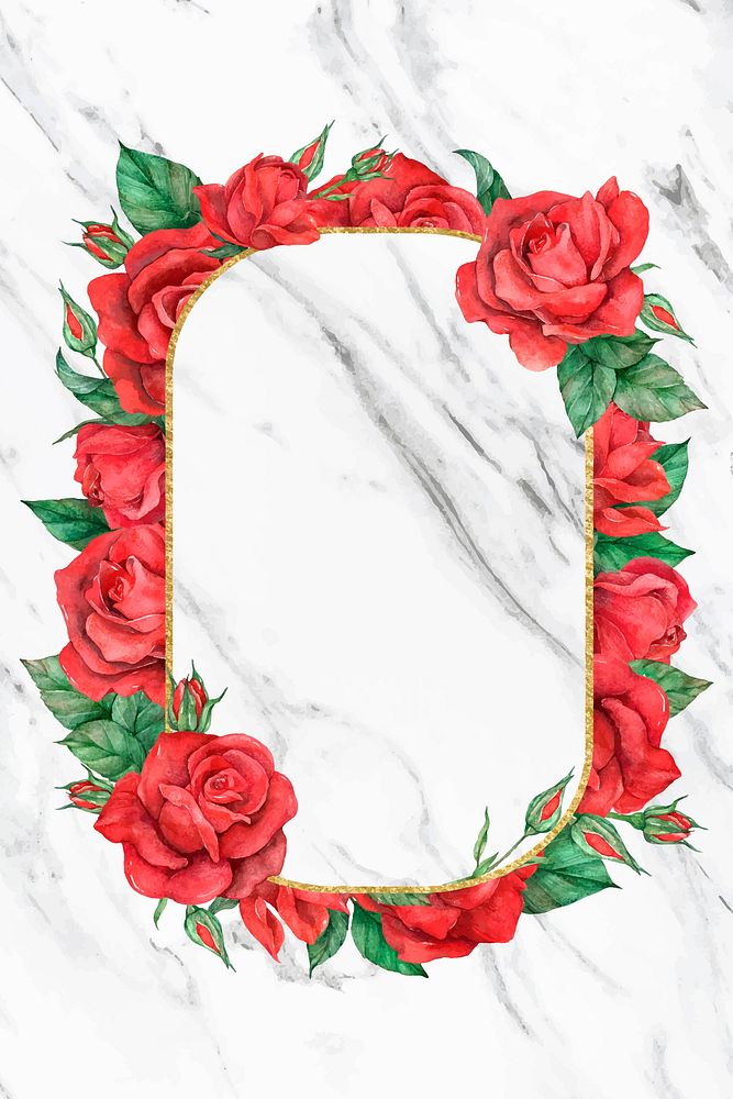 Blooming red rose vector frame
