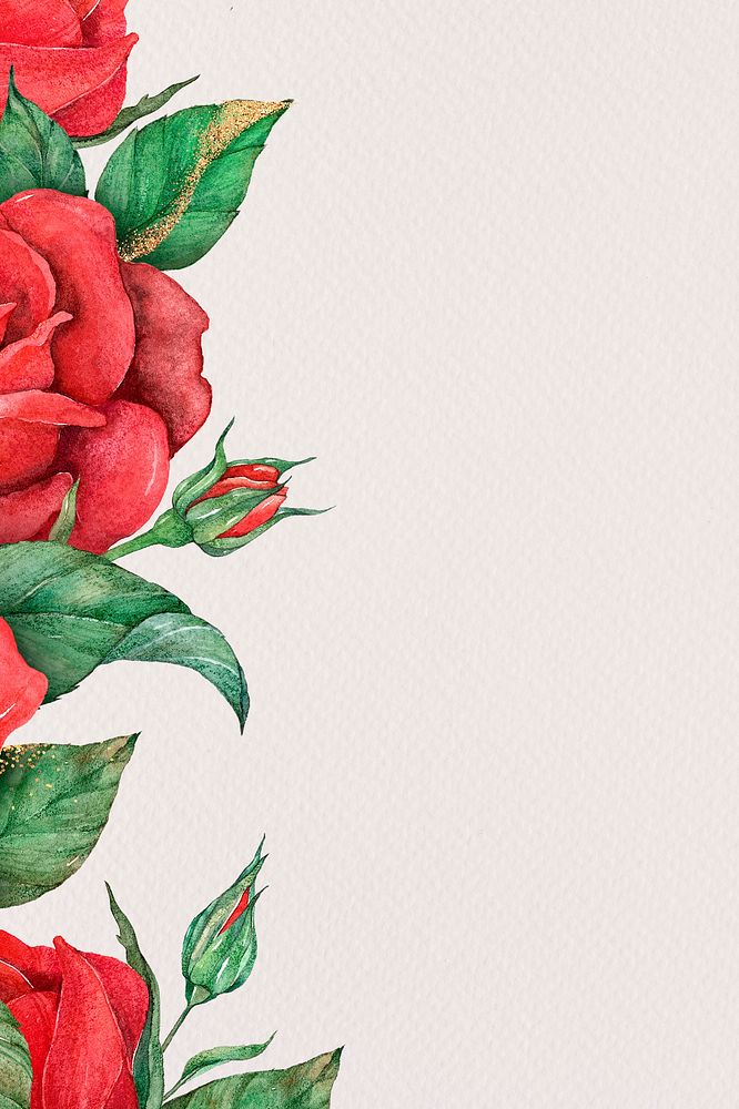 Red rose psd social media banner background