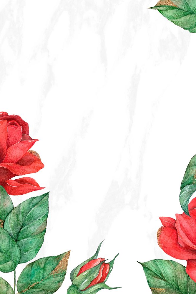 Red rose psd social media banner background
