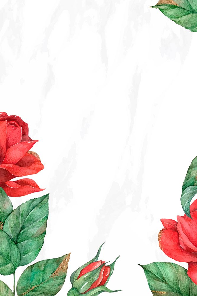 Red rose vector social media banner background