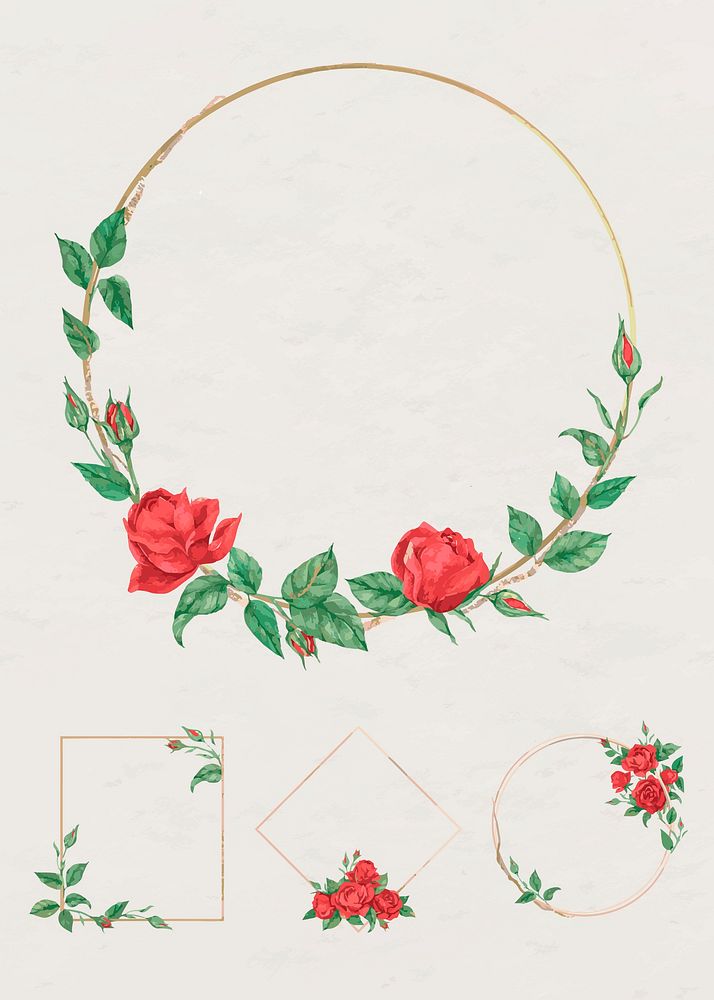 Vector frame with red rose set