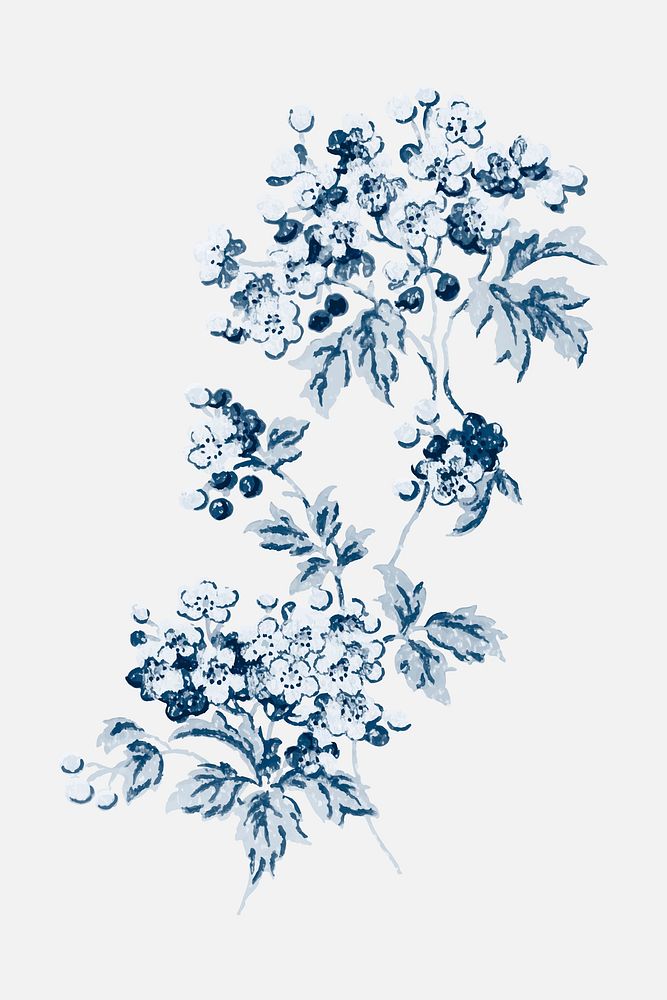 Vector blue verbena flower vintage botanical illustration