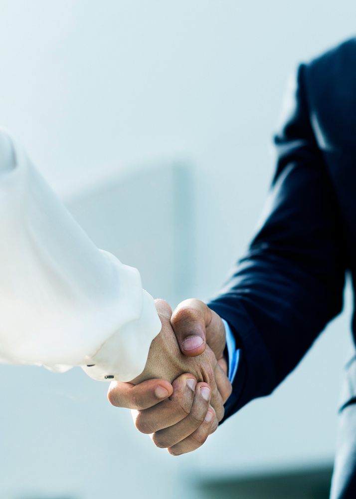 Professional corporate businesspeople shaking hands