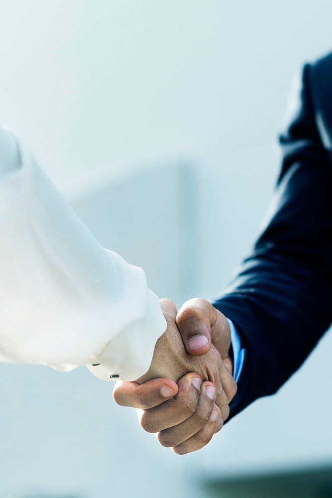 Professional corporate businesspeople shaking hands