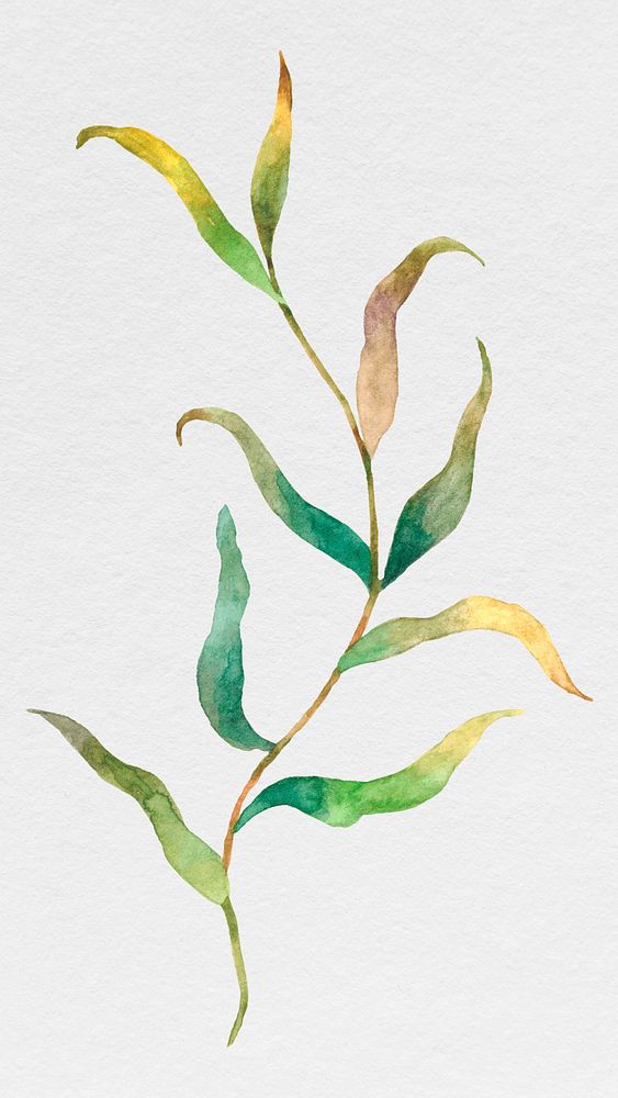 Watercolor leaves on branch psd