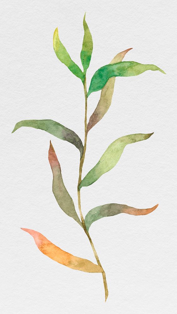 Watercolor leaves on branch illustration