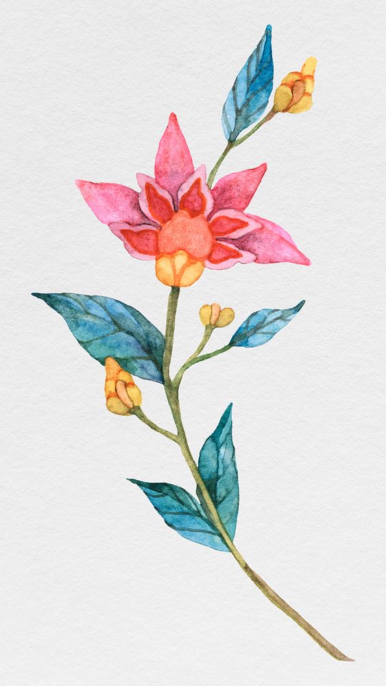 Pink watercolor flower in bloom illustration