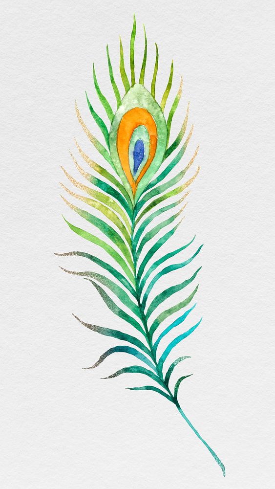 Green watercolor peacock feather illustration