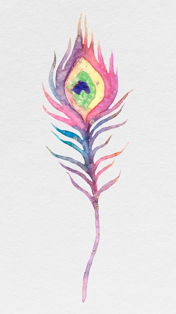 Pink watercolor peacock feather illustration
