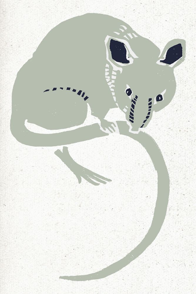 Rat psd vintage animal linocut drawing