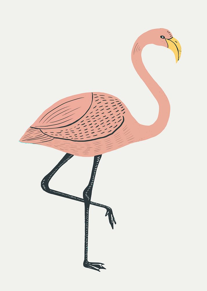 Tropical bird peach flamingo vector vintage linocut drawing