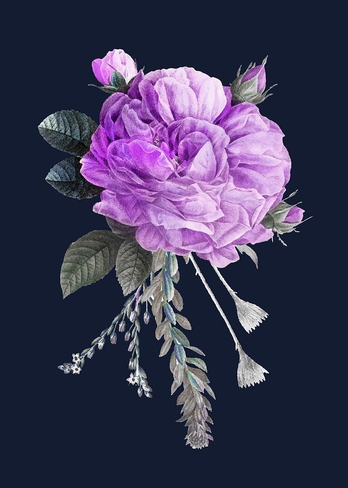 Vintage purple vector French rose bouquet hand drawn illustration