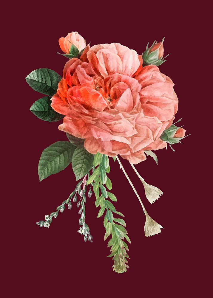 Vintage pink vector French rose bouquet hand drawn illustration