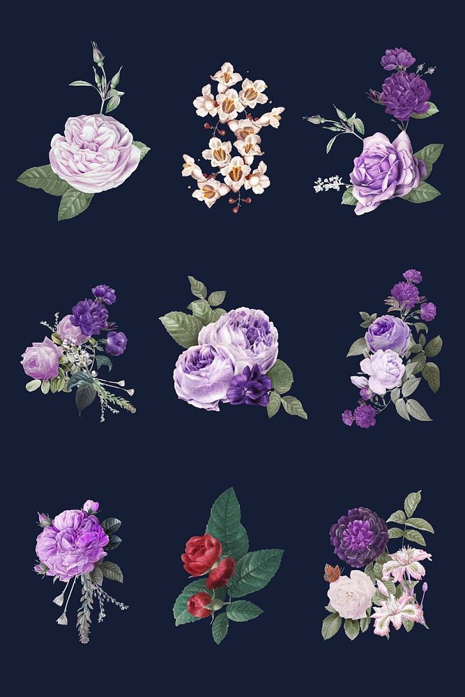 Botanical purple flowers vector watercolor hand drawn collection