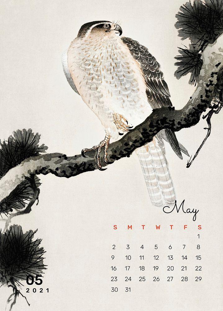 2021 Calendar May printable template vector hawk on a pine branch remix from Ohara Koson