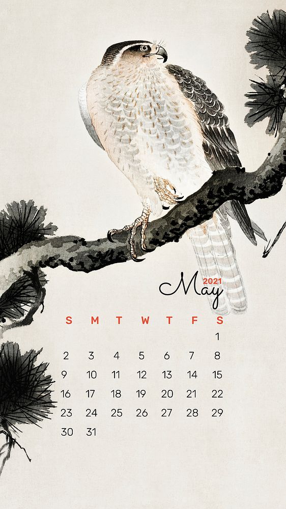 Calendar 2021 May phone wallpaper hawk on a pine branch remix from Ohara Koson