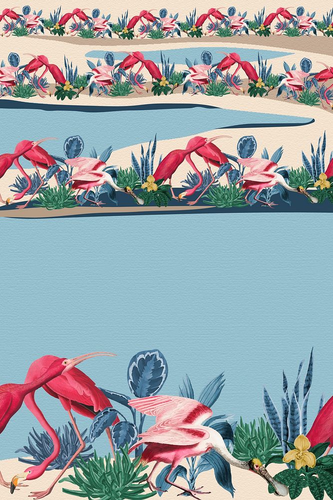Tropical flamingo border vector frame blue background