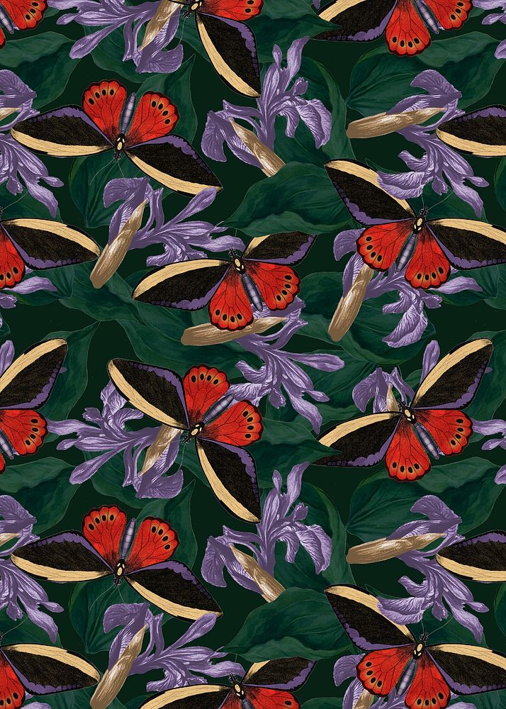 Butterfly floral abstract background with design space, remix from The Naturalist's Miscellany by George Shaw