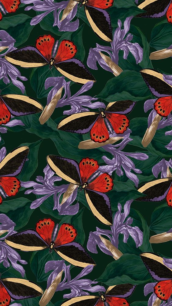 Abstract butterfly floral background with blank space, remix from The Naturalist's Miscellany by George Shaw