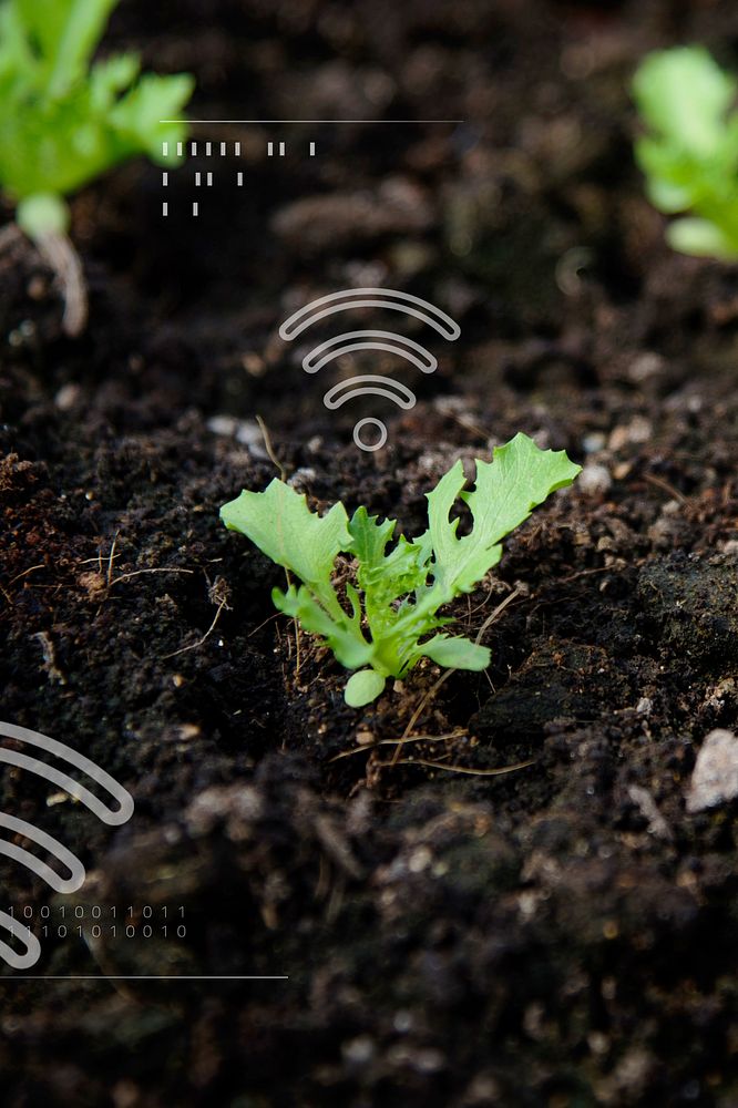 Smart agriculture green plant product farming technology social media banner