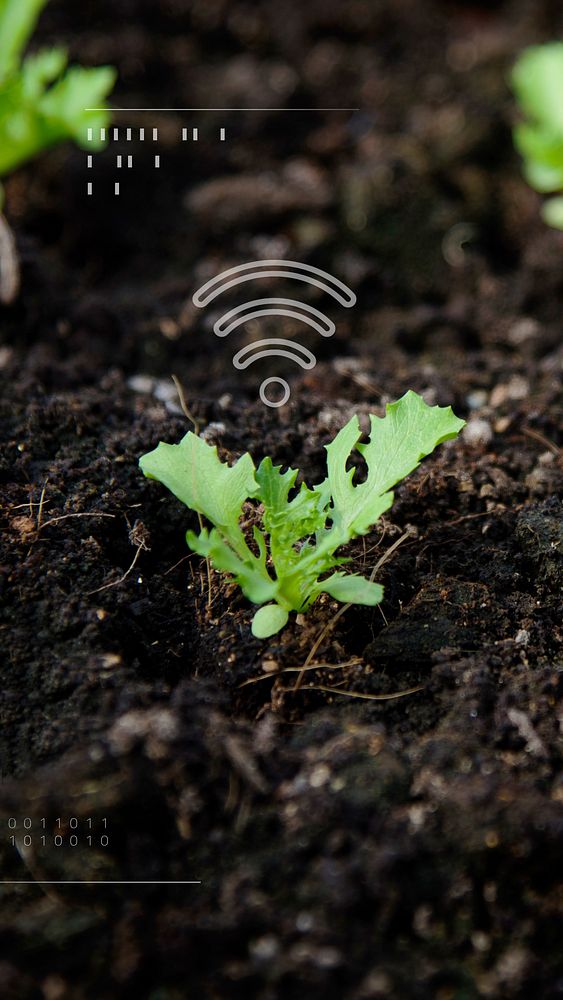 Smart farming 5.0 green plant product agricultural technology social story wallpaper
