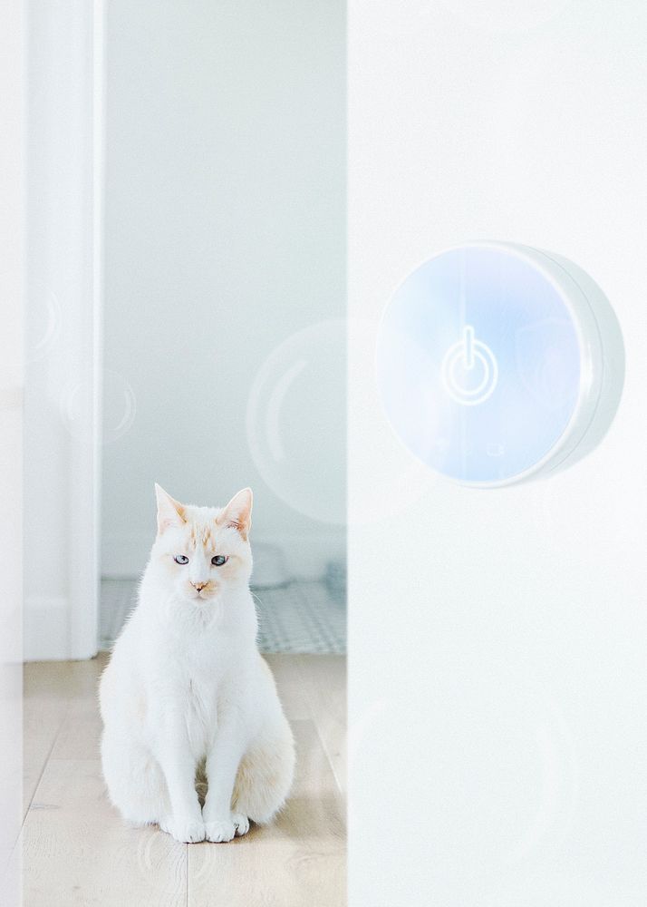 Smart pet and smart home technology background