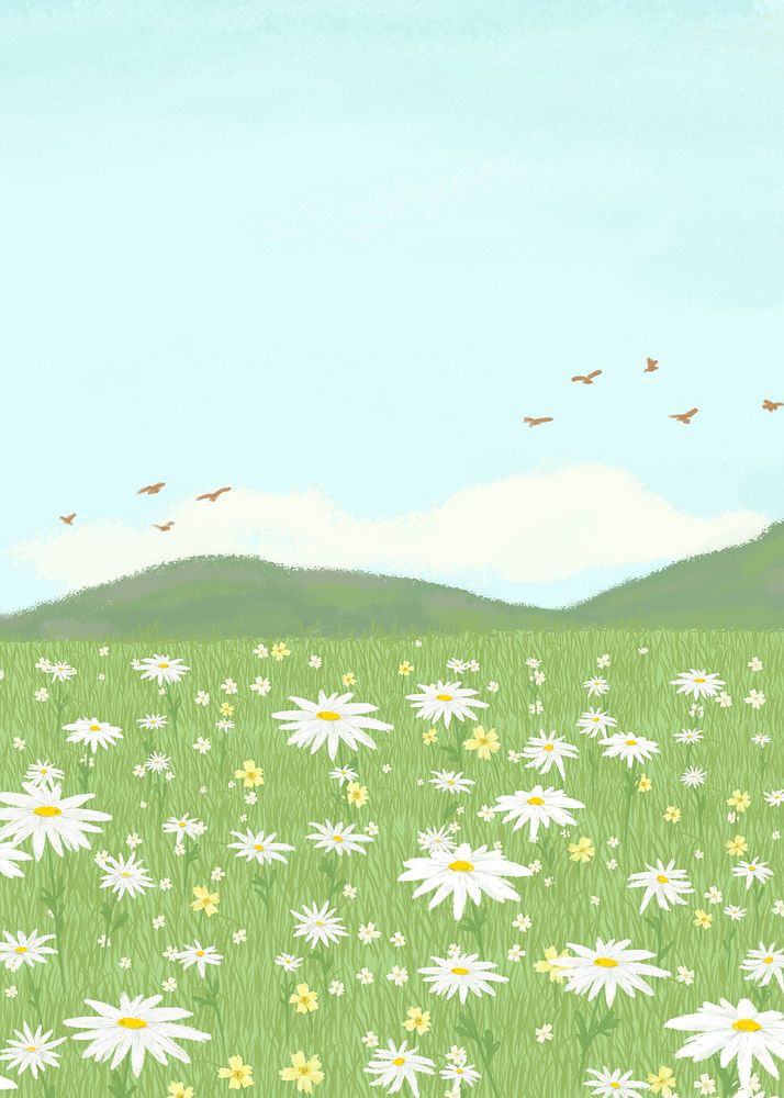 Blooming daisy field background with mountain poster