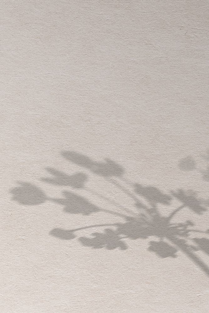 Background psd with shadow of a floral branch