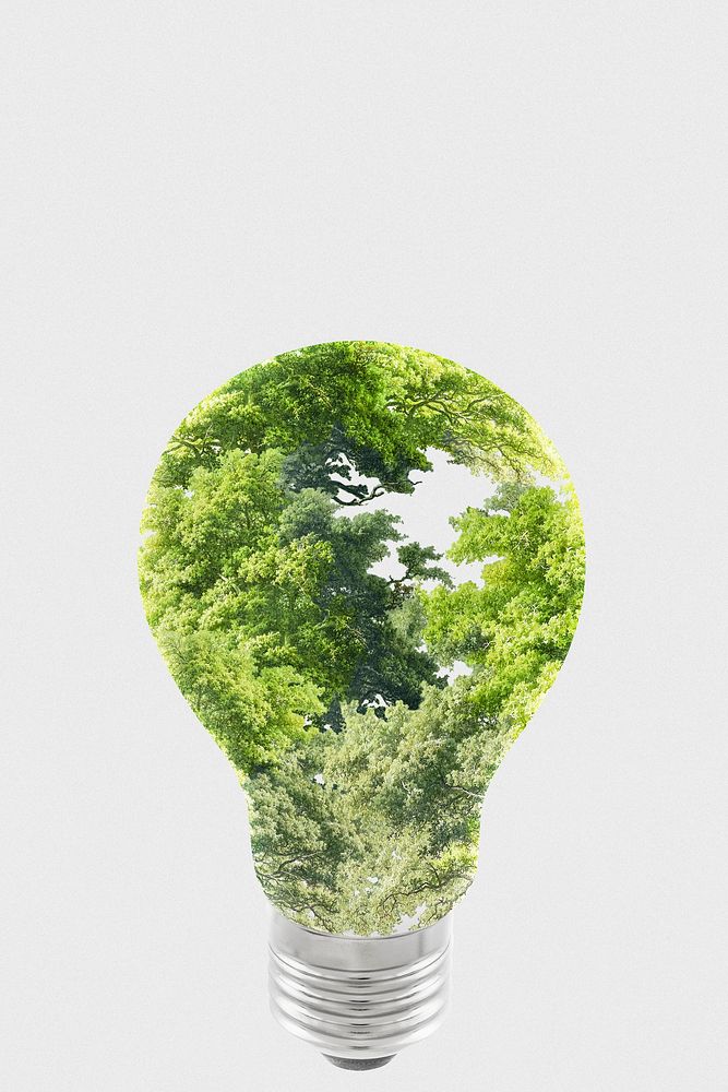 Sustainable energy campaign tree light bulb media remix