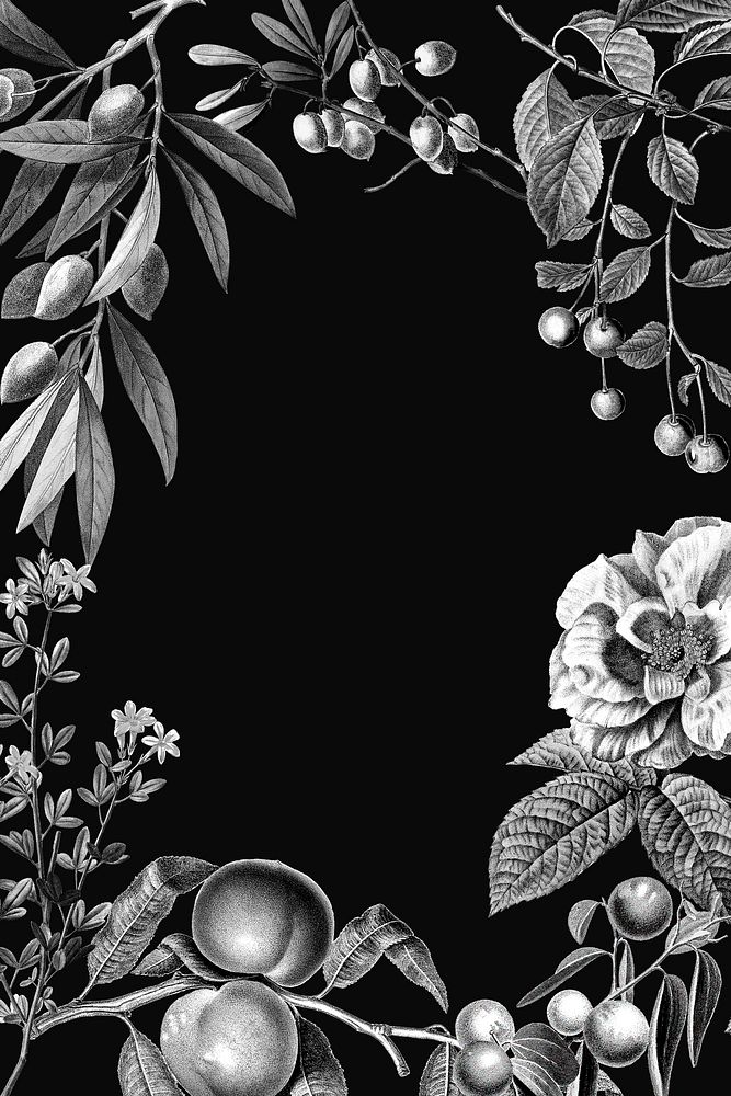 Rose frame vintage botanical illustration and fruits on black background