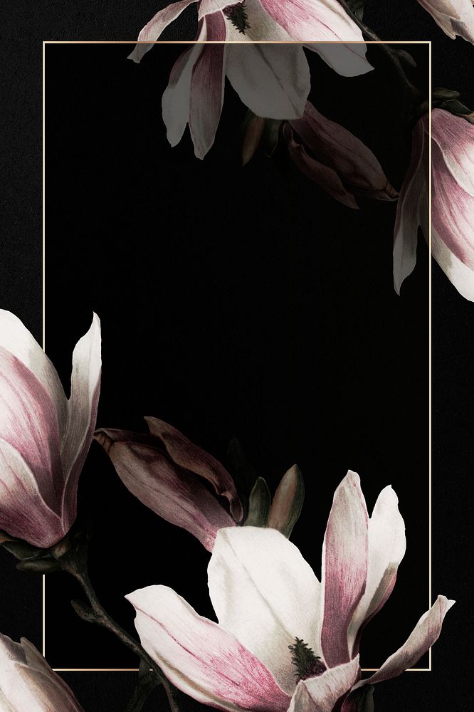Magnolia border frame on black background