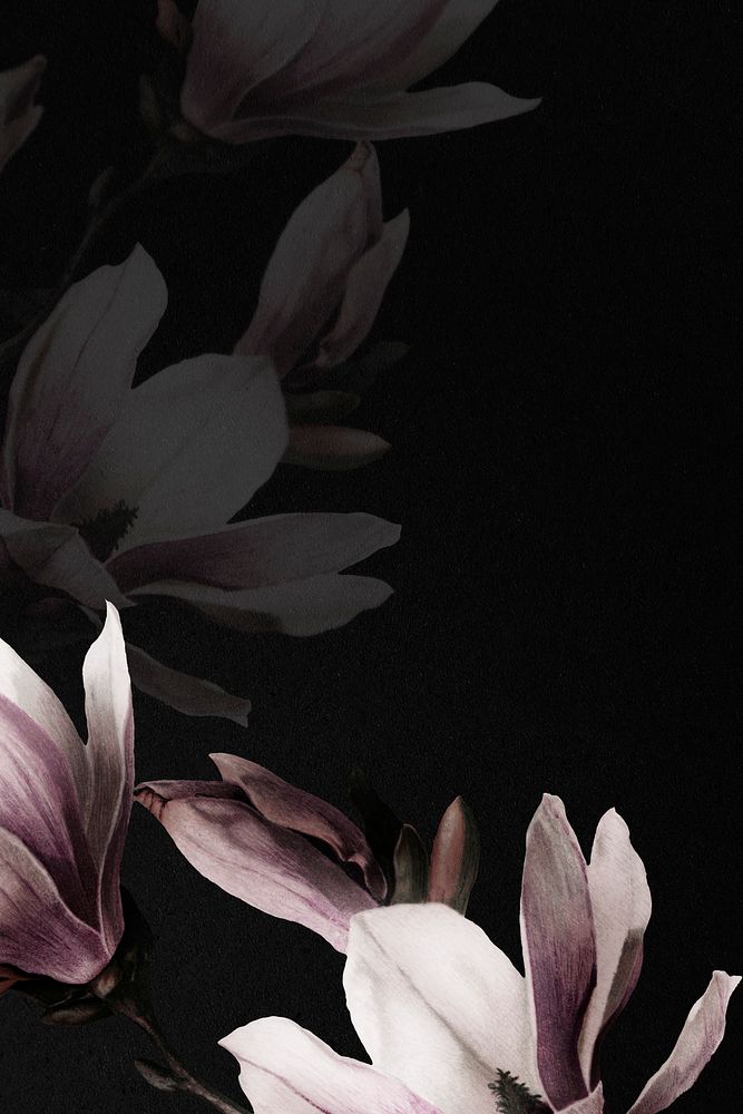 Magnolia border on black background