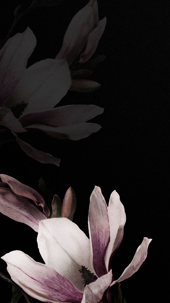 Mobile wallpaper with magnolia background