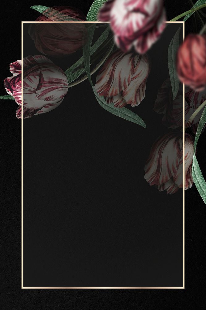 Gold frame with tulip border on black background