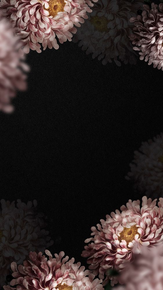 Phone wallpaper with aster background