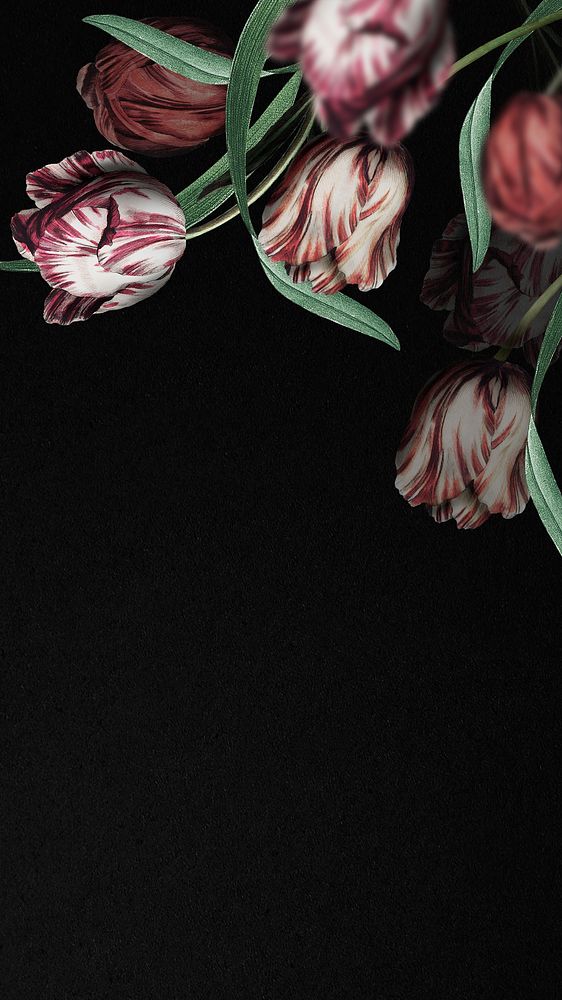 Phone lockscreen with tulip background