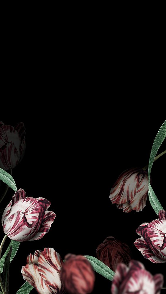 Phone wallpaper with tulip background