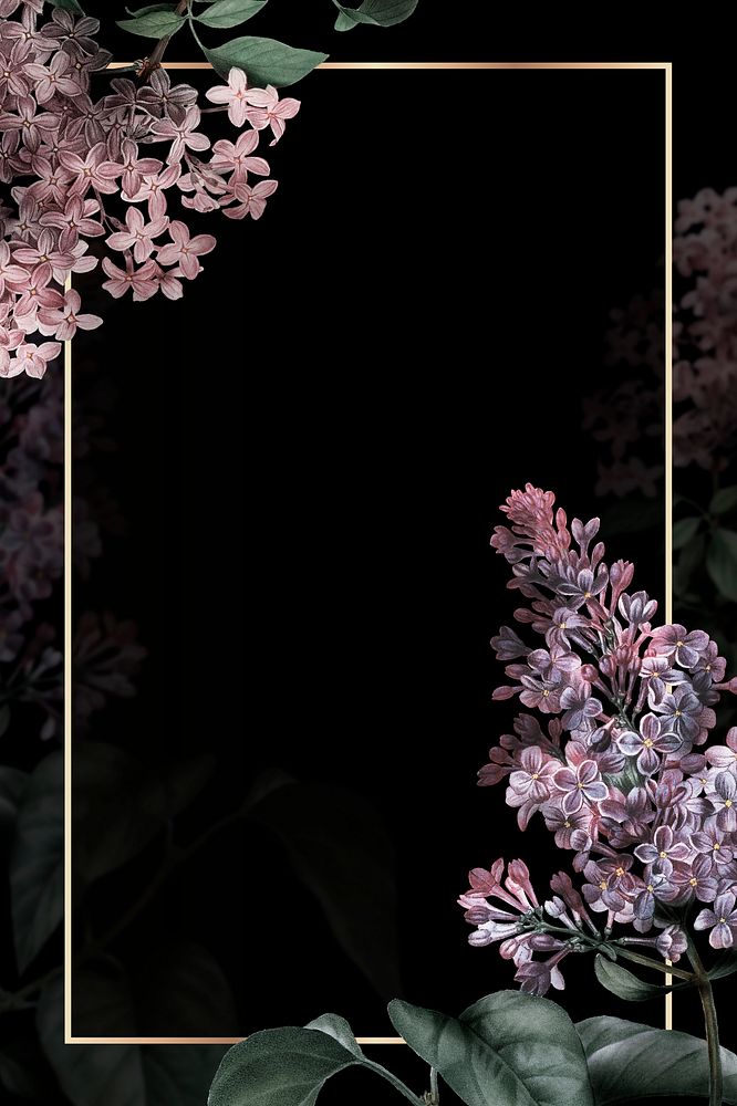 Lilac border frame on black background