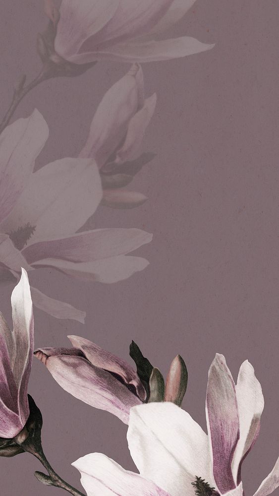 Mobile wallpaper with magnolia background