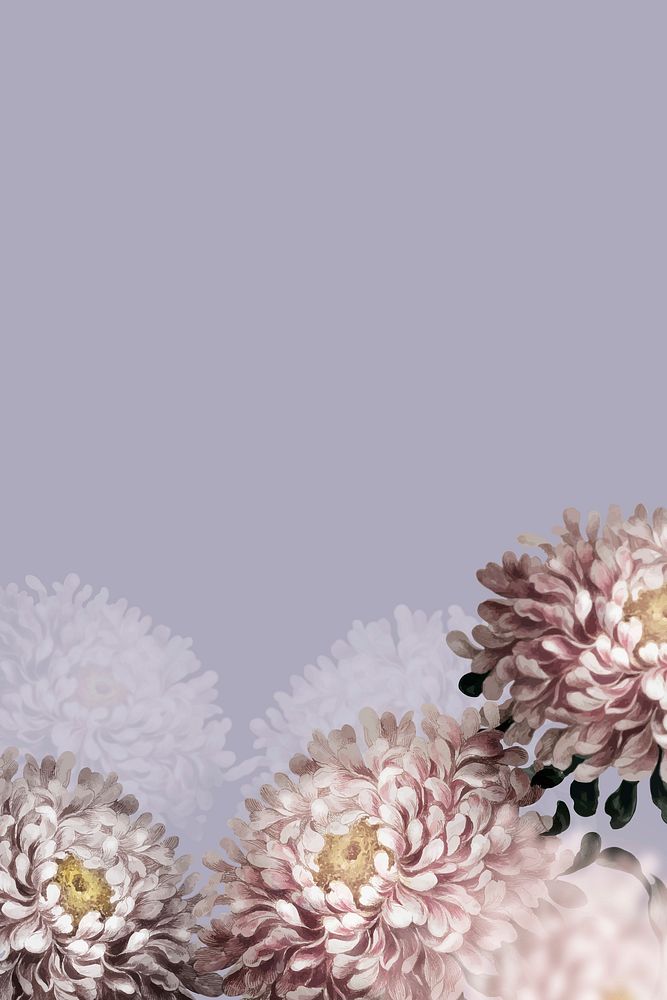 Aster border vector on purple background