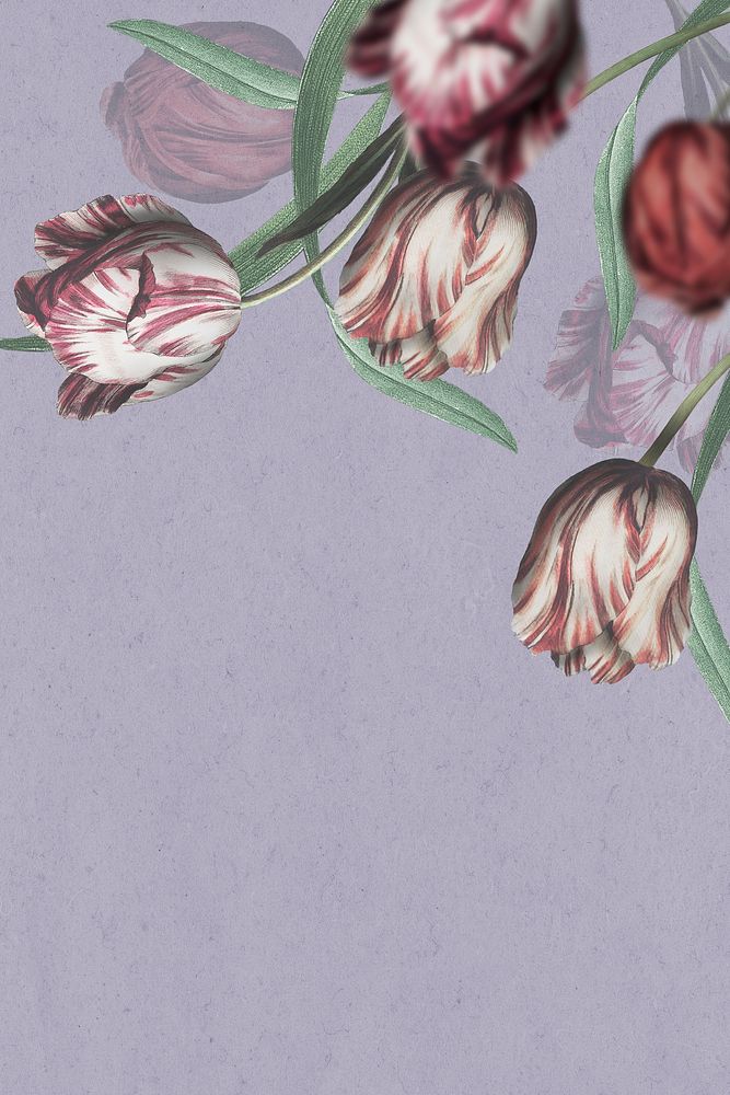Tulip border on purple background