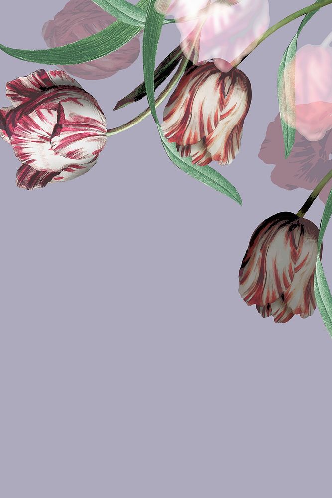 Tulip border vector on purple background