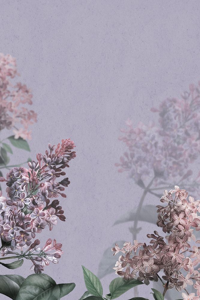 Lilac border on purple background