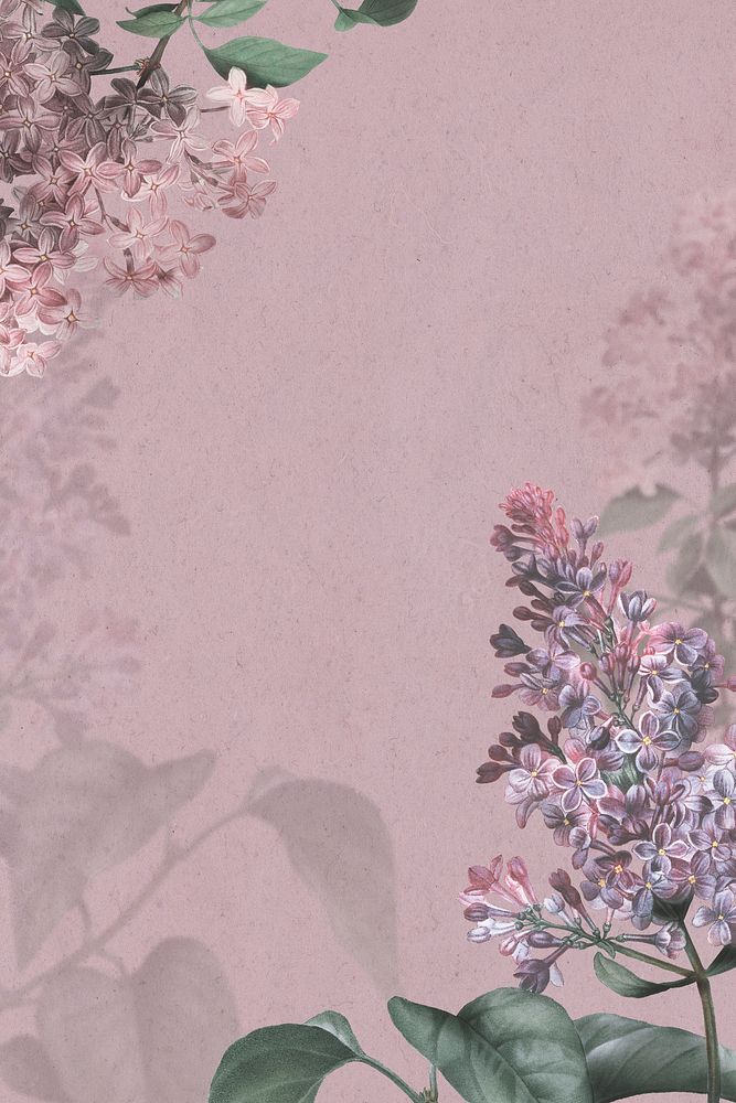 Lilac border on pink background