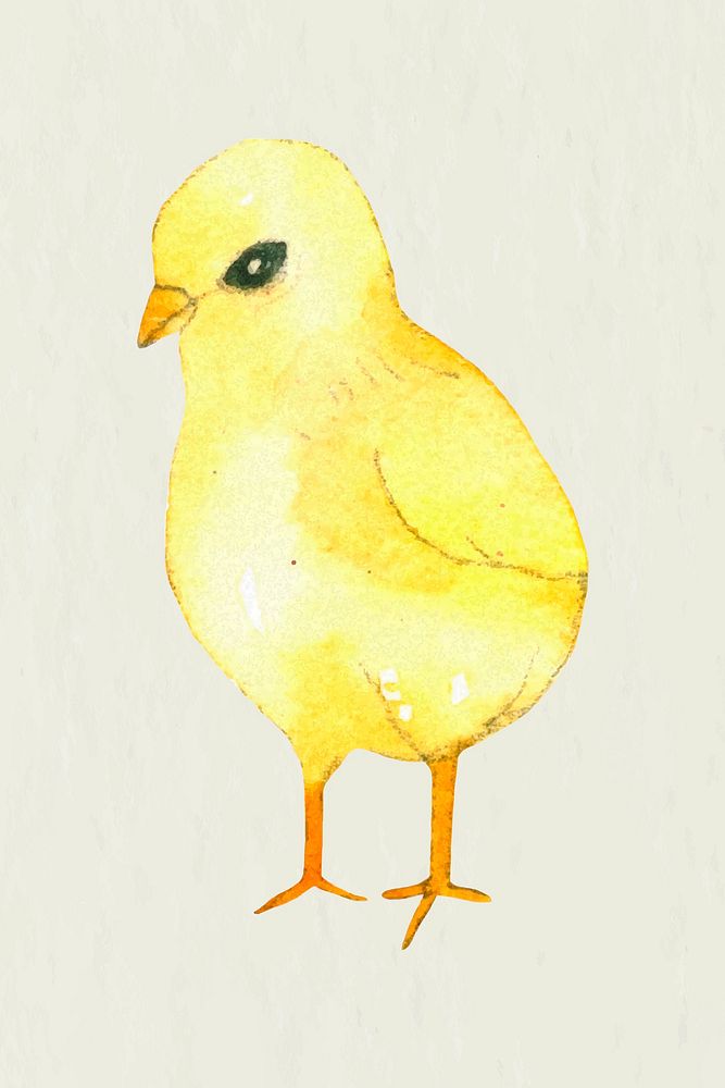 Easter bird design element vector cute watercolor illustration 