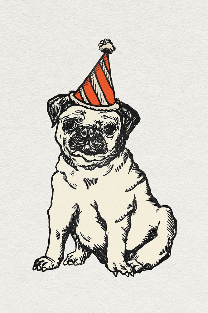 Pug dog graphic vintage birthday theme illustration